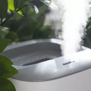 Les 5 meilleurs humidificateurs (2026)